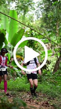 BIB:  <button type="button" onclick="openModal(26824052)" class="btn btn-primary btn-sm float-right" data-toggle="modal" data-target=".modal-high-quality">
                <i class="fa fa-download"></i> Download
                </button>